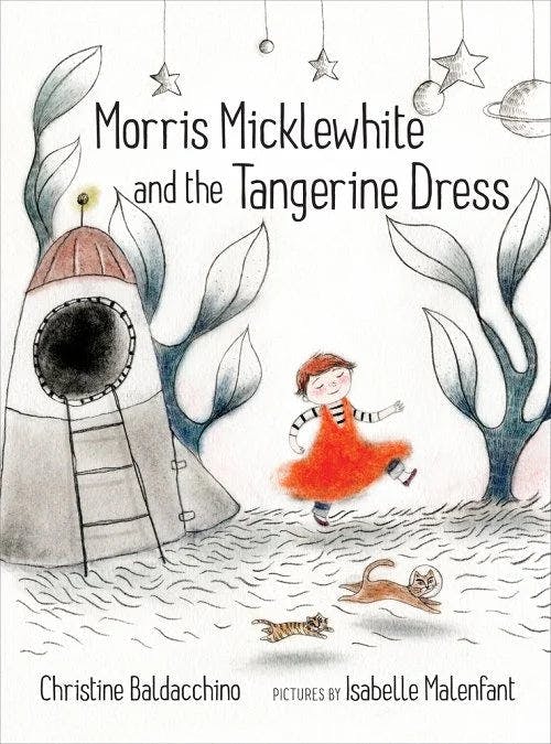 book cover for Morris Micklewhite and the Tangerine Dress